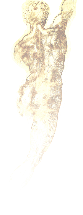 sepia body dorsal side